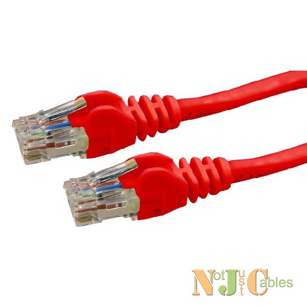 Cat6 Red Colour